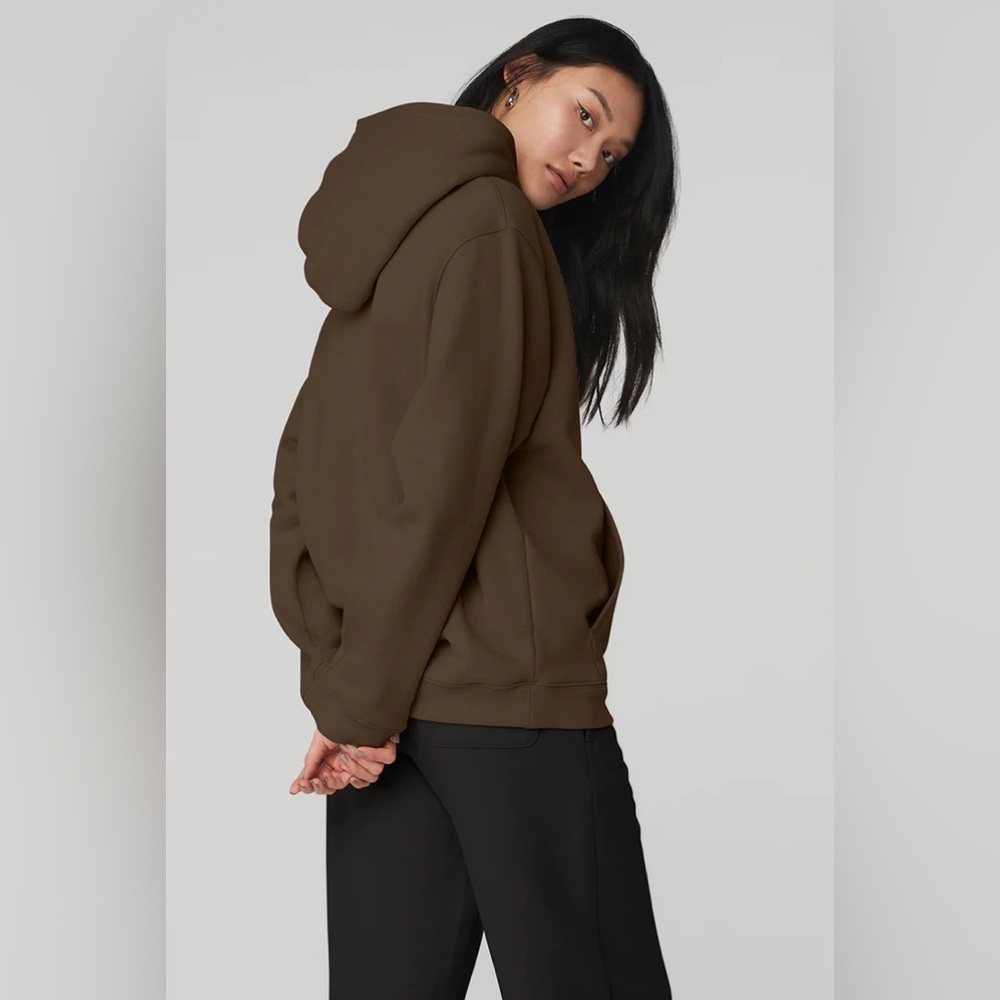 NEW ALO Yoga Renown Heavy Weight  Hoodie in Espresso Brown | size M - Picture 2 of 8